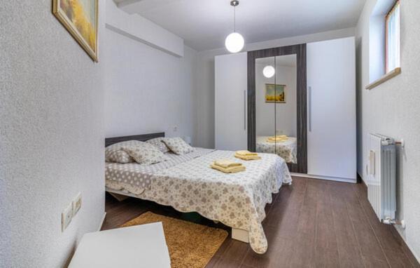 Apartmani Antonio Motovun Exterior photo